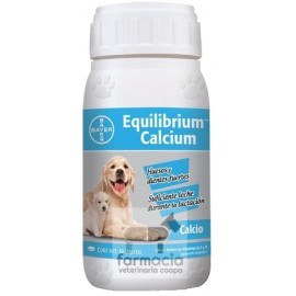Equilibrium Calcium