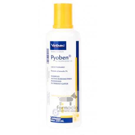 Pyoben Shampoo