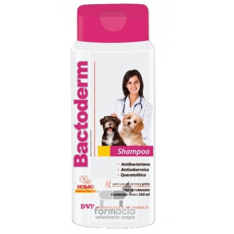 Bactoderm shampoo