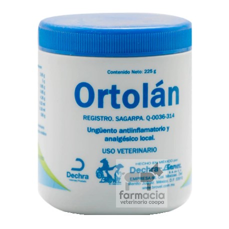 Ortolán