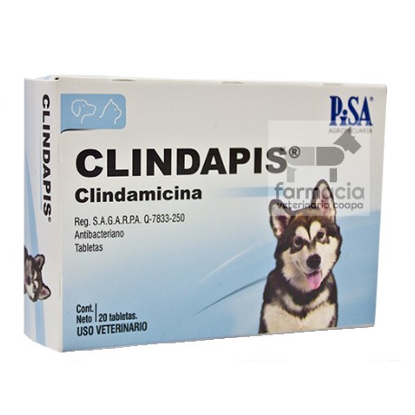Clindapis