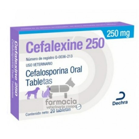 Cefalexine 250