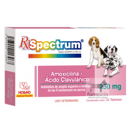 Spectrum Amoxicilina-Ácido clavulánico 250 mg