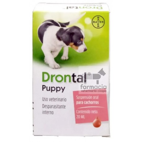 Drontal puppy